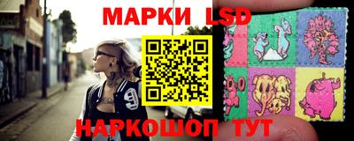 прущие грибы Будённовск