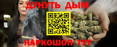 прущие грибы Будённовск