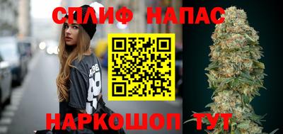 прущие грибы Будённовск