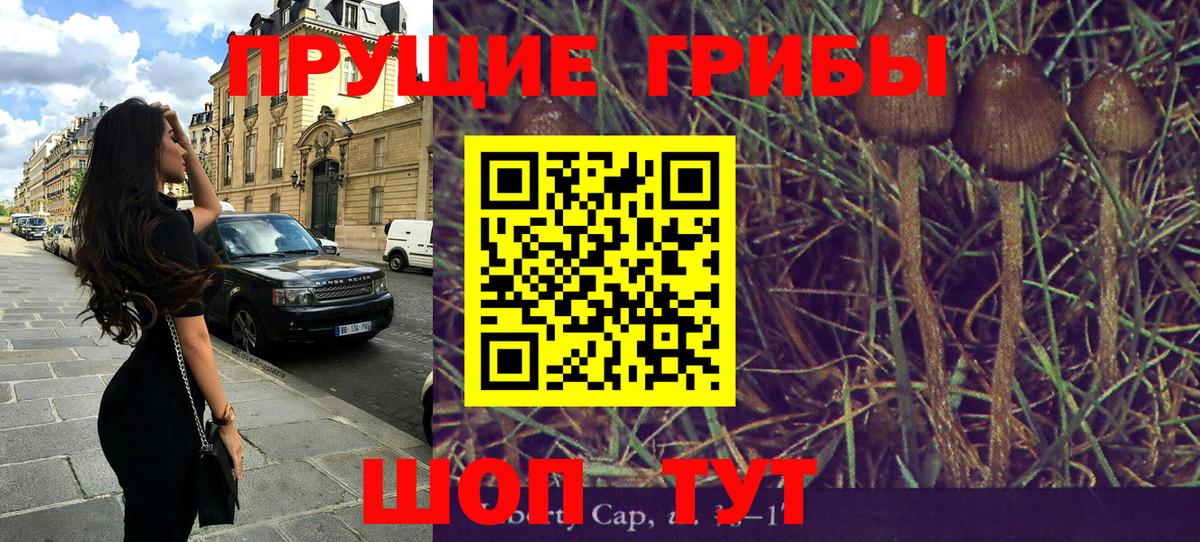 Галлюциногенные грибы Magic Shrooms  Вход с VPN  Псилоцибиновые грибы Magic Shrooms  Егорьевск 